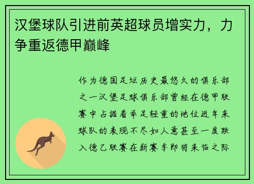 汉堡球队引进前英超球员增实力，力争重返德甲巅峰